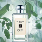 JO MALONE Wood Sage & Sea Salt Cologne 100ml   祖瑪龍鼠尾草與海鹽古龍水 100ml