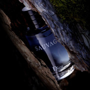 DIOR Sauvage Eau De Toilette 100ml 迪奧曠野之心淡香薰